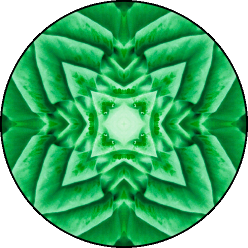 Daily Digital Mandala 143