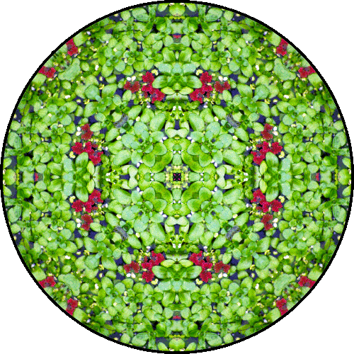 Daily Digital Mandala 139