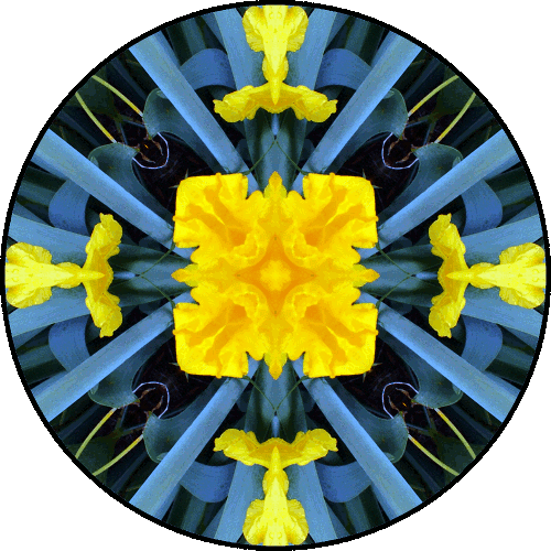 Daily Digital Mandala 140