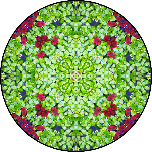 Daily Digital Mandala 148