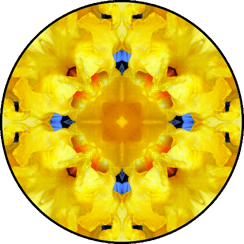 Daily Digital Mandala 144