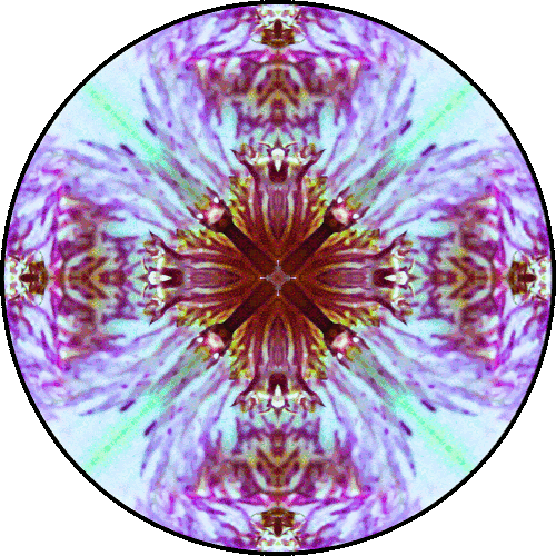 Daily Digital Mandala 151