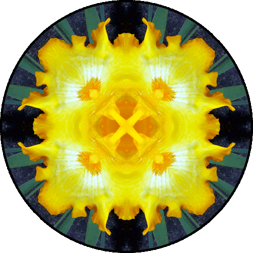 Daily Digital Mandala 149