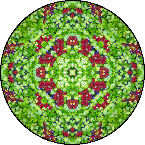 Daily Digital Mandala 158