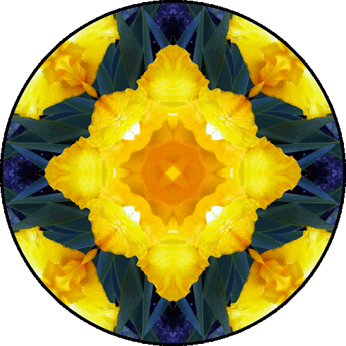 Daily Digital Mandala 154