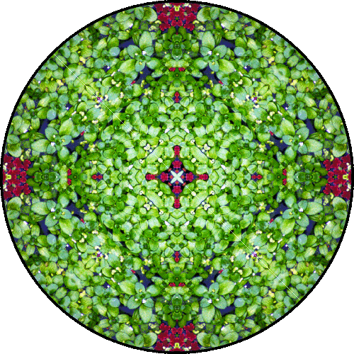 Daily Digital Mandala 165