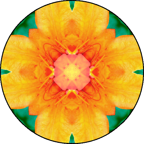 02 - Sacral Chakra - Orange