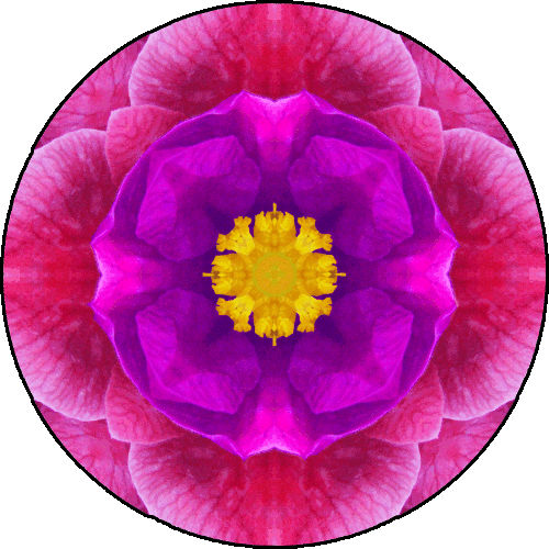 06 - Ear Chakra - ReddishViolet