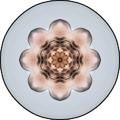Daily Digital Mandala 201