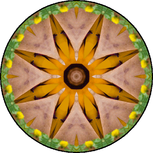 Daily Digital Mandala 254