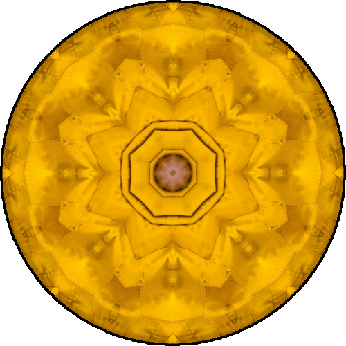 Daily Digital Mandala 266