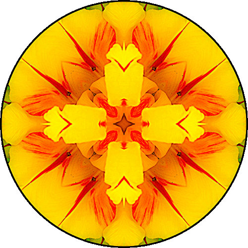 Daily Digital Mandala 184