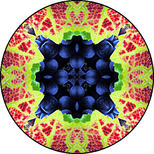 Daily Digital Mandala 170