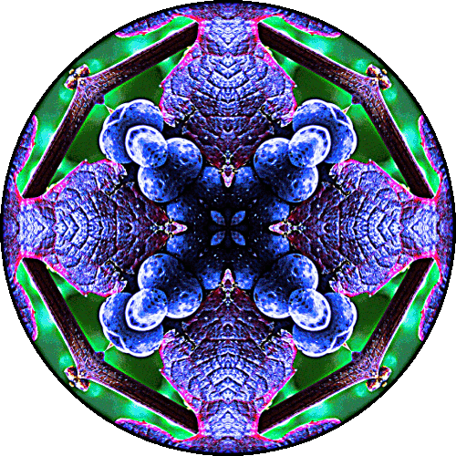 Daily Digital Mandala 83