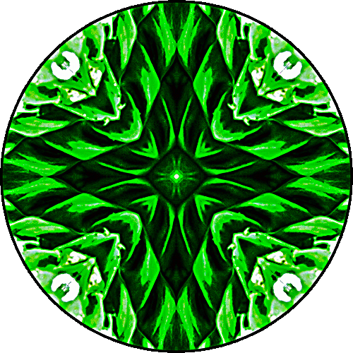 Daily Digital Mandala 199