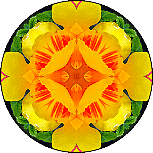 Daily Digital Mandala 236