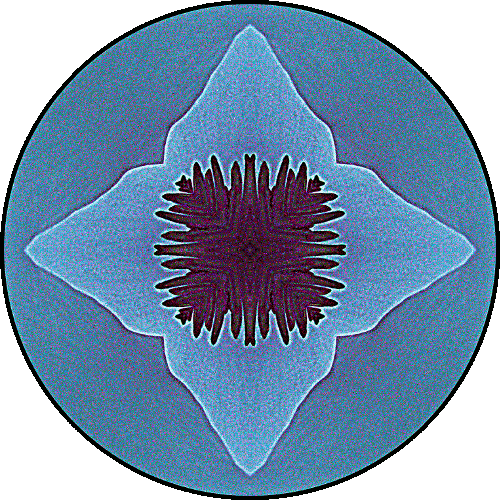 Daily Digital Mandala 208