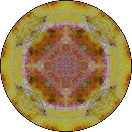 Daily Digital Mandala 224