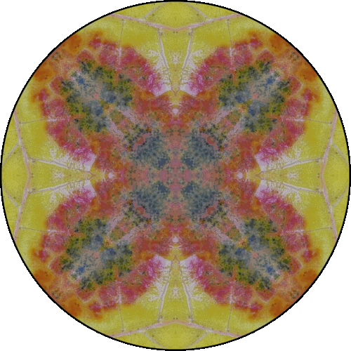 Daily Digital Mandala 245