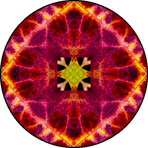 Daily Digital Mandala 259