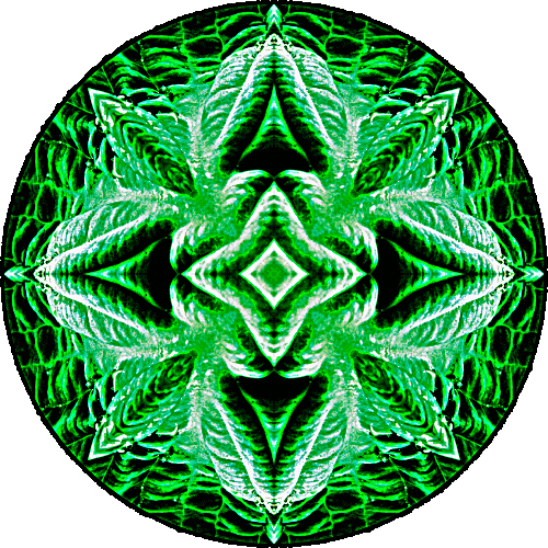 Daily Digital Mandala 264