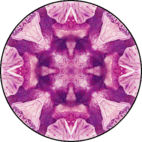 Daily Digital Mandala 258