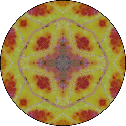 Daily Digital Mandala 268
