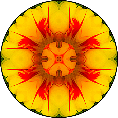 Daily Digital Mandala 271