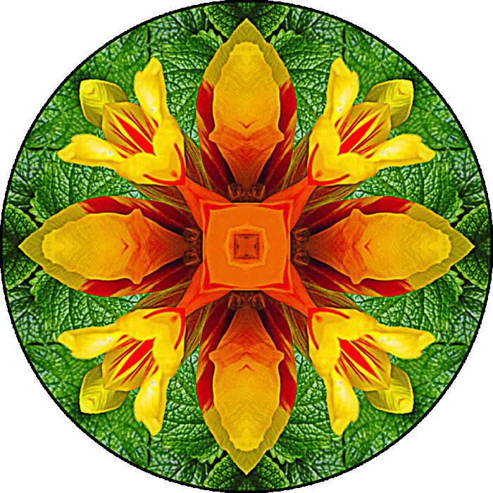 Daily Digital Mandala 270