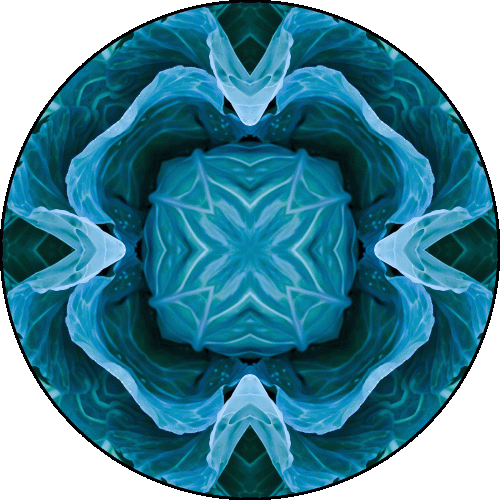 Daily Digital Mandala 306