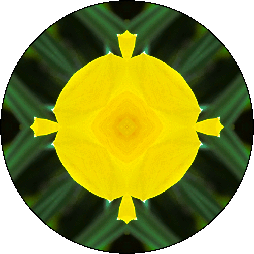 Daily Digital Mandala 293