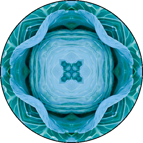 Daily Digital Mandala 304