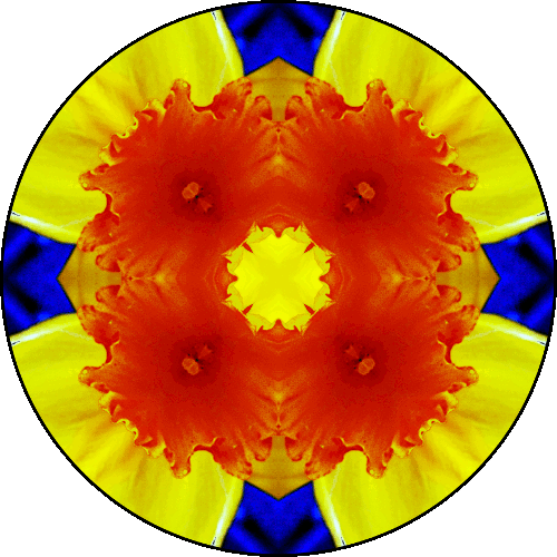 Daily Digital Mandala 307