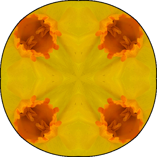 Daily Digital Mandala 334