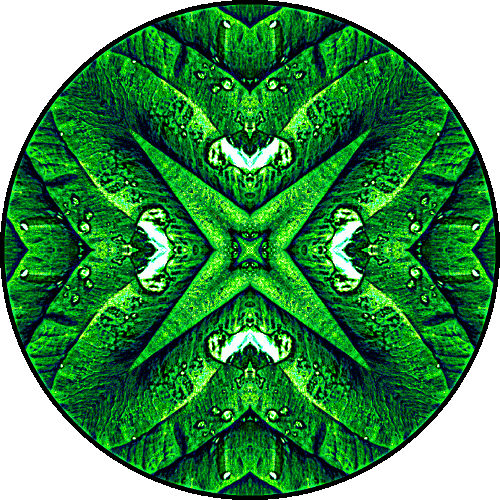 Daily Digital Mandala 309