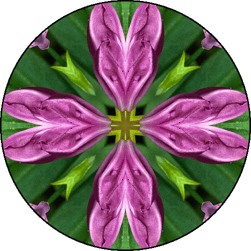 Daily Digital Mandala 332