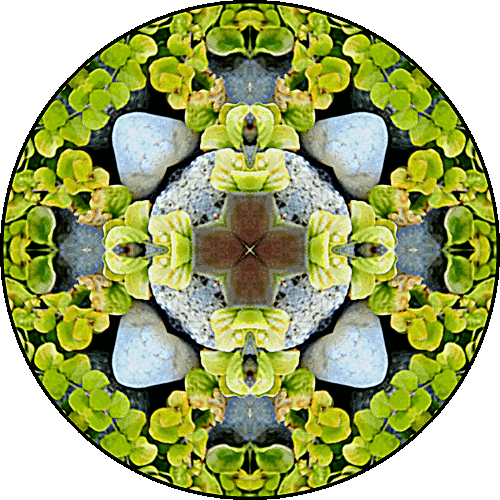 Daily Digital Mandala 325