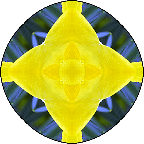 Daily Digital Mandala 335