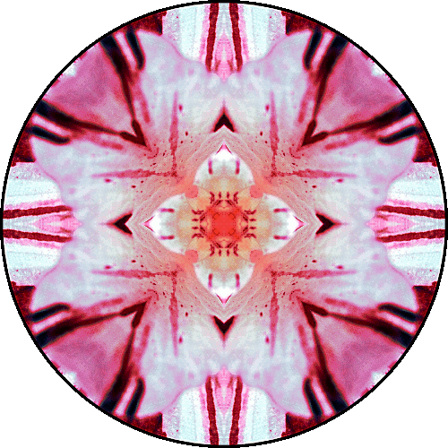 Daily Digital Mandala 323