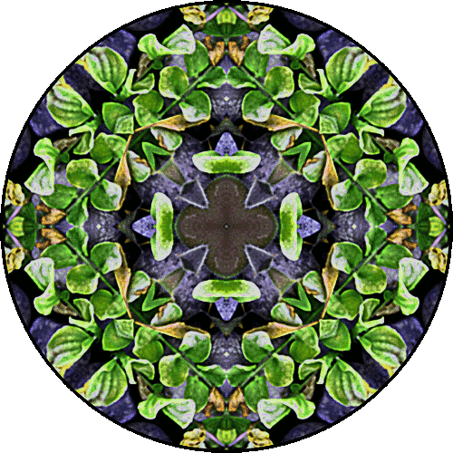 Daily Digital Mandala 315