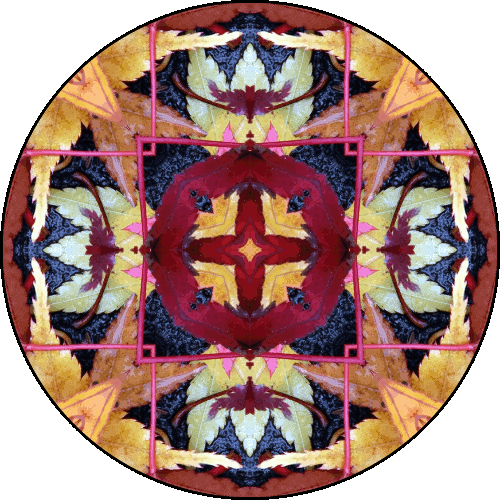 Daily Digital Mandala 321