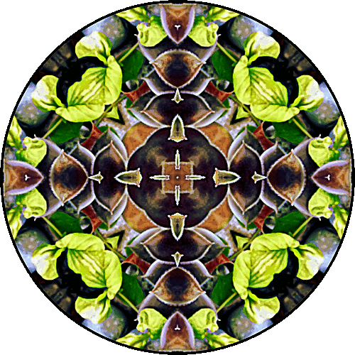 Daily Digital Mandala 333
