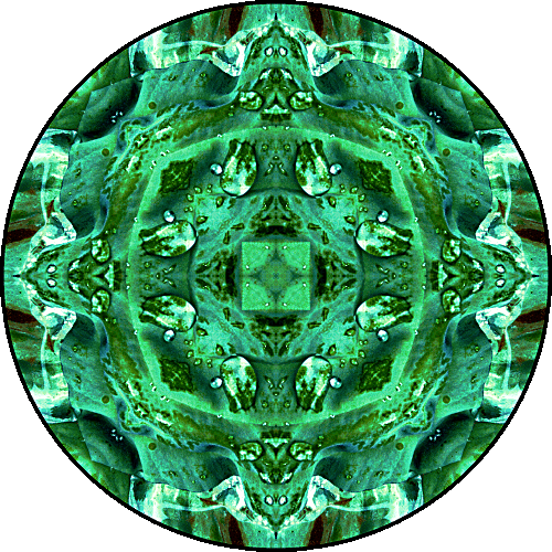 Daily Digital Mandala 344