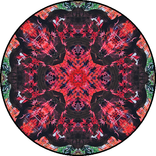 Daily Digital Mandala 346