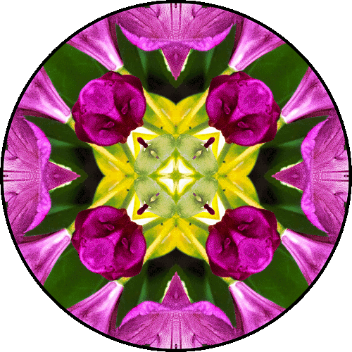 Daily Digital Mandala 349