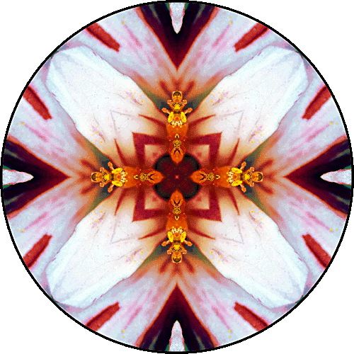 Daily Digital Mandala 348