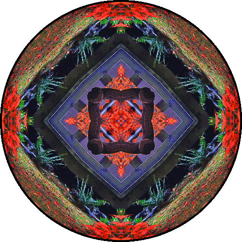 Daily Digital Mandala 364