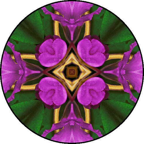Daily Digital Mandala 366