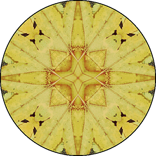 Daily Digital Mandala 372