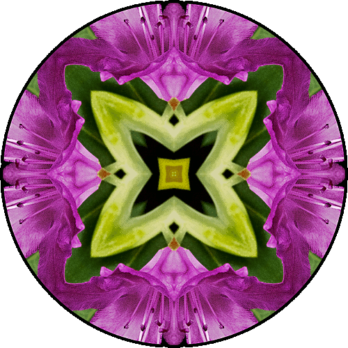Daily Digital Mandala 374